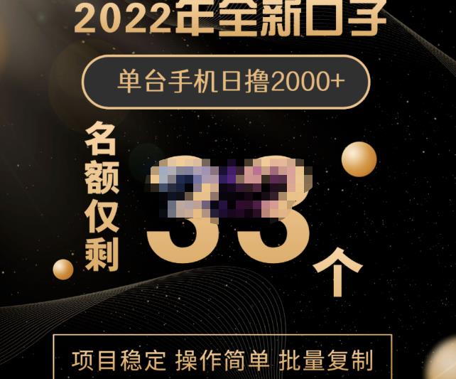 2022年全新口子，手机批量搬砖玩法，一部手机日撸2000+-爱省资源网