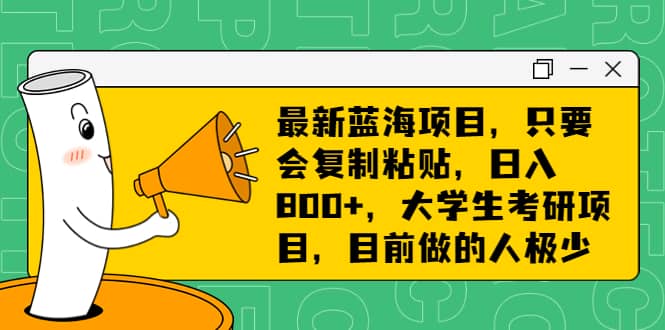 最新蓝海项目，只要会复制粘贴，日入800+，大学生考研项目，目前做的人极少-爱省资源网