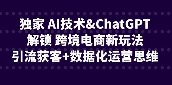 独家 AI技术ChatGPT解锁 跨境电商新玩法，引流获客+数据化运营思维-爱省资源网