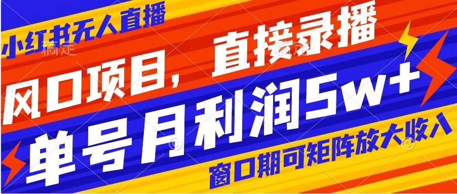 风口项目，小红书无人直播带货，直接录播，可矩阵，月入5w+-爱省资源网