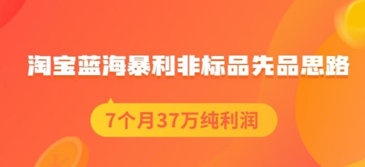 盗坤淘宝蓝海暴利非标品先品思路，7个月37万纯利润，压箱干货分享！【付费文章】-爱省资源网