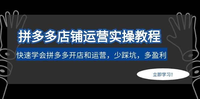 拼多多店铺运营实操教程：快速学会拼多多开店和运营，少踩坑，多盈利-爱省资源网