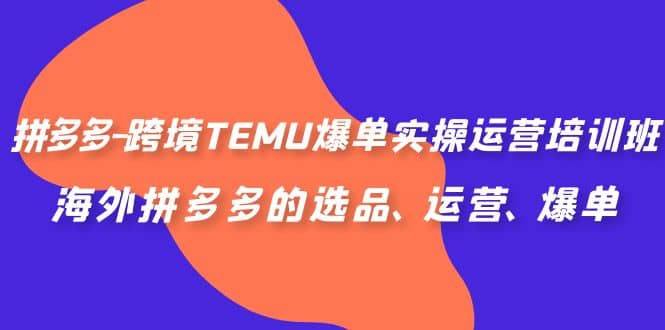 拼多多-跨境TEMU爆单实操运营培训班，海外拼多多的选品、运营、爆单-爱省资源网