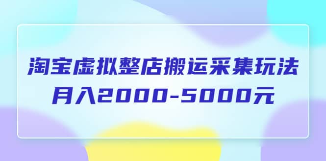淘宝虚拟整店搬运采集玩法分享课：月入2000-5000元（5节课）-爱省资源网