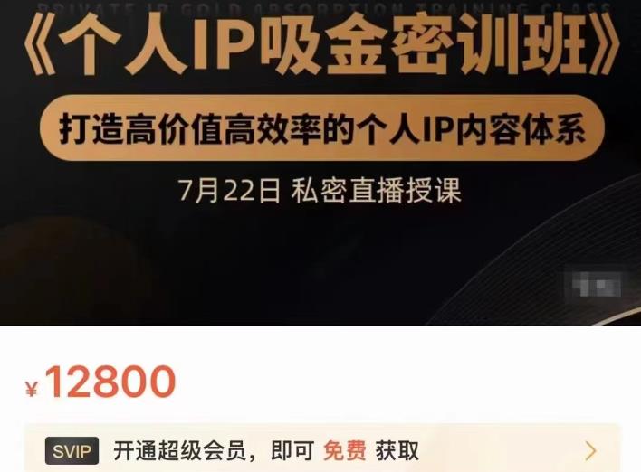 个人IP吸金密训班，打造高价值高效率的个人IP内容体系（价值12800元）-爱省资源网