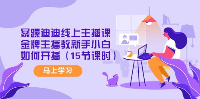 暴躁迪迪线上主播课，金牌主播教新手小白如何开播（15节课时）-爱省资源网