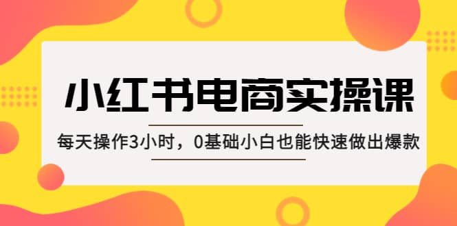小红书·电商实操课：每天操作3小时，0基础小白也能快速做出爆款-爱省资源网