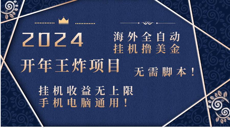 2024海外全自动挂机撸美金项目！手机电脑均可，无需脚本，收益无上限！-爱省资源网