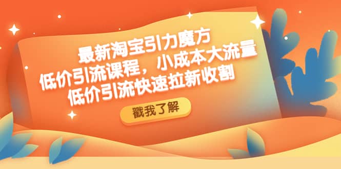 最新淘宝引力魔方低价引流实操：小成本大流量-爱省资源网
