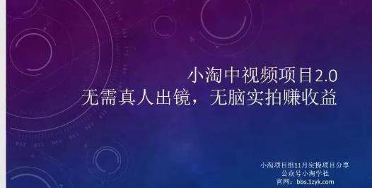 小淘项目组网赚永久会员，绝对是具有实操价值的，适合有项目做需要流程【持续更新】-爱省资源网