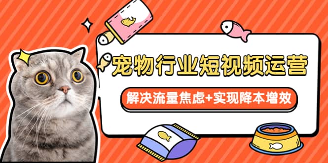 宠物/行业短视频运营 流量增长的一层窗户纸 解决流量焦虑+实现降本增效-爱省资源网