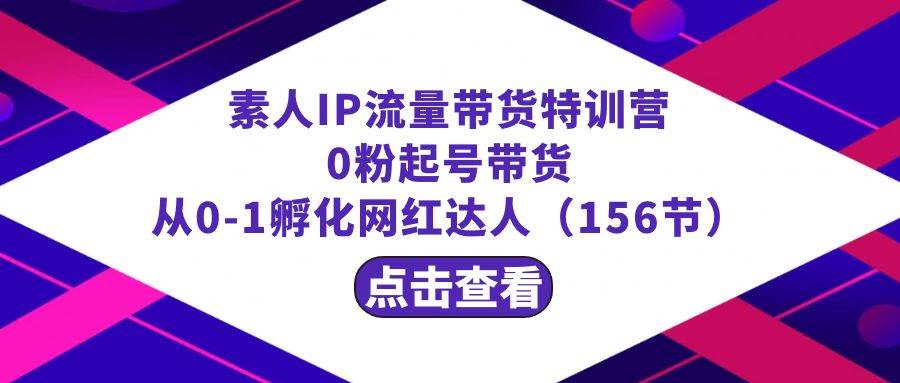 繁星·计划素人IP流量带货特训营：0粉起号带货 从0-1孵化网红达人（156节）-爱省资源网