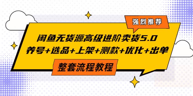 闲鱼无货源高级进阶卖货5.0，养号+选品+上架+测款+优化+出单整套流程教程-爱省资源网