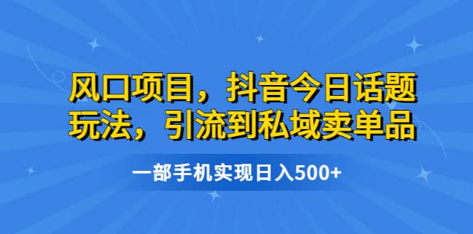 风口项目，抖音今日话题玩法，引流到私域卖单品，一部手机实现日入500+-爱省资源网