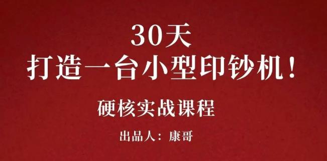 康哥30天打造一台小型印钞机：躺赚30万的项目完整复盘（视频教程）-爱省资源网