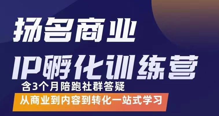 杨名商业IP孵化训练营，从商业到内容到转化一站式学 价值5980元-爱省资源网