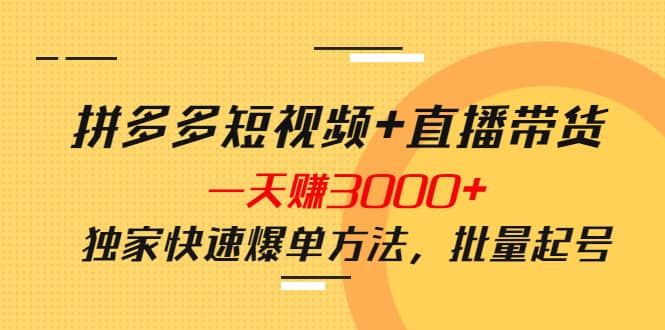 拼多多短视频+直播带货，一天赚3000+独家快速爆单方法，批量起号-爱省资源网