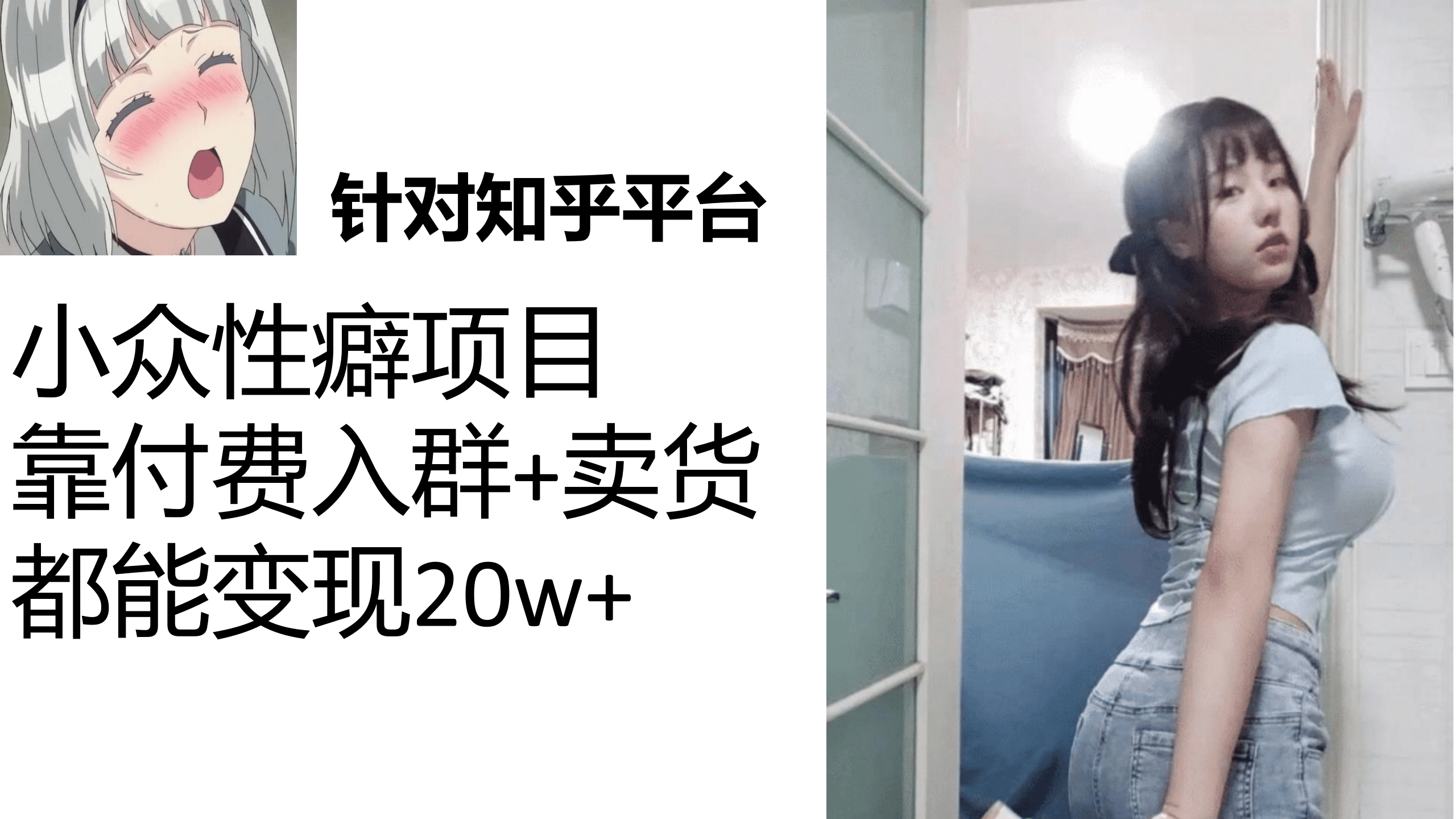 知乎小众性癖项目，Lsp的钱才是最好赚的，付费建群+卖货变现20w-爱省资源网