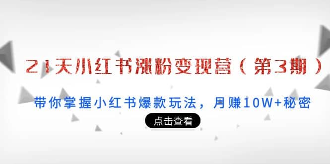 21天小红书涨粉变现营（第3期）：带你掌握小红书爆款玩法，月赚10W+秘密-爱省资源网