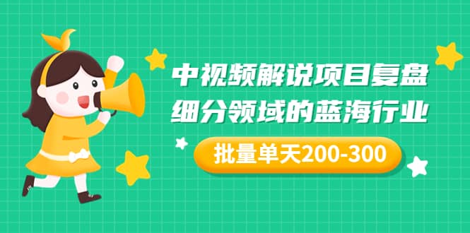 某付费文章：中视频解说项目复盘：细分领域的蓝海行业 批量单天200-300收益-爱省资源网
