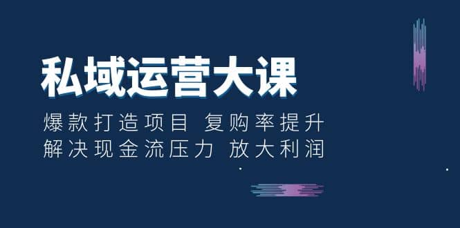 私域运营大课：爆款打造项目 复购率提升 解决现金流压力 放大利润-爱省资源网
