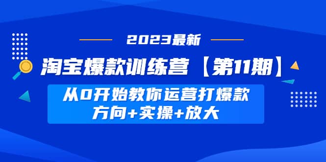 淘宝爆款训练营【第11期】 从0开始教你运营打爆款，方向+实操+放大-爱省资源网
