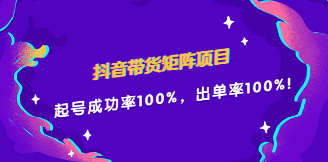 抖音带货矩阵项目，起号成功率100%，出单率100%！-爱省资源网