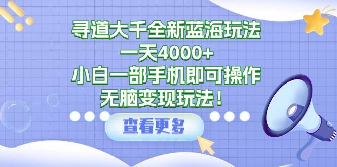 寻道大千全新蓝海玩法，一天4000+，小白一部手机即可操作，无脑变现玩法！-爱省资源网