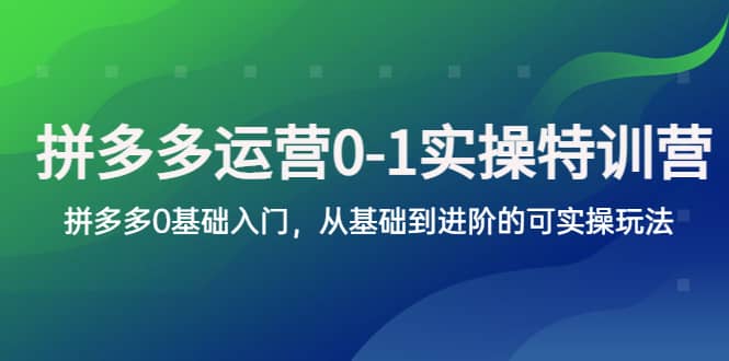拼多多-运营0-1实操训练营，拼多多0基础入门，从基础到进阶的可实操玩法-爱省资源网