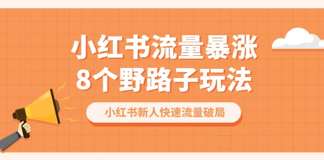 小红书流量-暴涨8个野路子玩法：小红书新人快速流量破局（8节课）-爱省资源网
