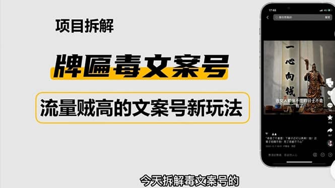 2023抖音快手毒文案新玩法，牌匾文案号，起号快易变现-爱省资源网