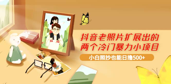 抖音老照片扩展出的两个冷门暴力小项目，小白照抄也能日撸500+-爱省资源网