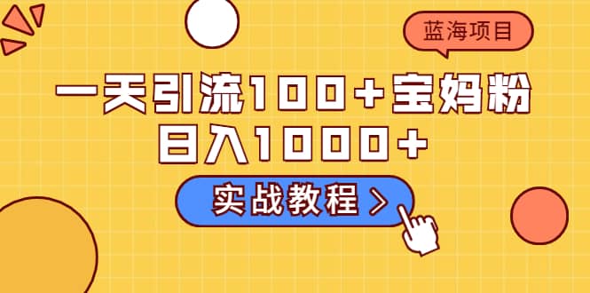 一天引流100+宝妈粉，日入1000+的蓝海项目（实战教程）-爱省资源网