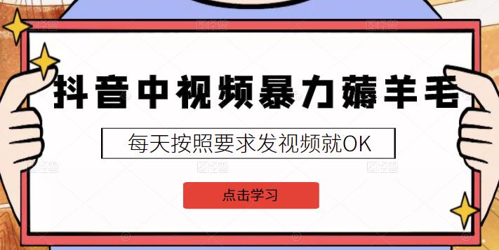 2022抖音中视频暴力薅羊毛白嫖项目：新号每天20块，老号几天几百块，可多号-爱省资源网