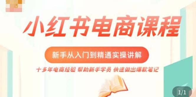 小红书电商新手入门到精通实操课，从入门到精通做爆款笔记，开店运营-爱省资源网