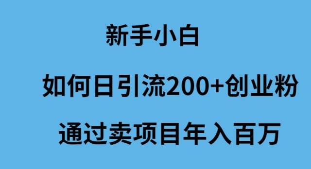 新手小白如何日引流200+创业粉通过卖项目年入百万-爱省资源网