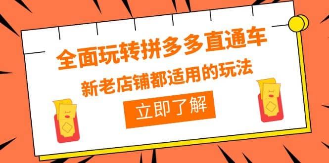 全面玩转拼多多直通车，新老店铺都适用的玩法（12节精华课）-爱省资源网