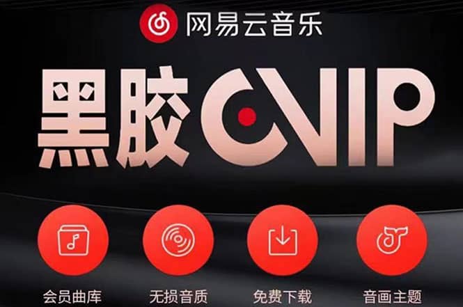 网易云撸黑胶年卡及变现方法，收益可无限放大-爱省资源网