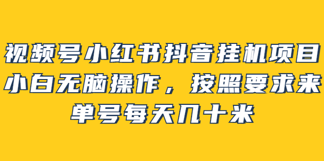 视频号小红书抖音挂机项目，小白无脑操作，按照要求来，单号每天几十米-爱省资源网