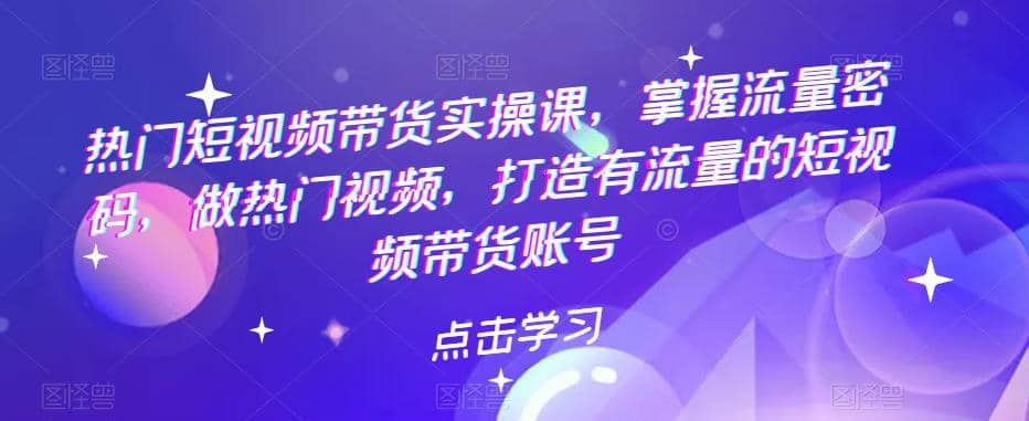 热门短视频带货实战 掌握流量密码 做热门视频 打造有流量的短视频带货账号-爱省资源网