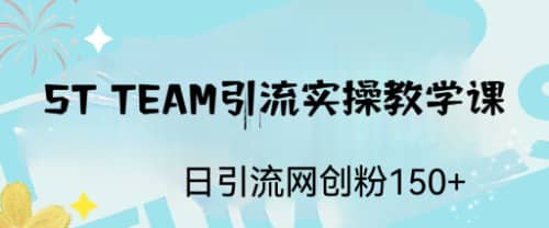 ST TEAM引流实操课，日引流网创粉100+-爱省资源网