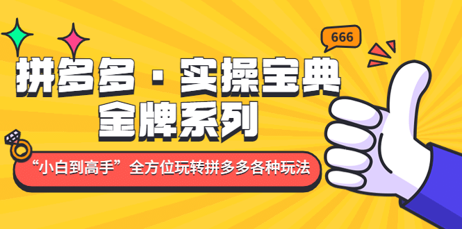 拼多多·实操宝典：金牌系列“小白到高手”带你全方位玩转拼多多各种玩法-爱省资源网