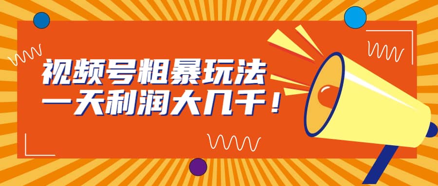 视频号粗暴玩法，一天利润大几千-爱省资源网