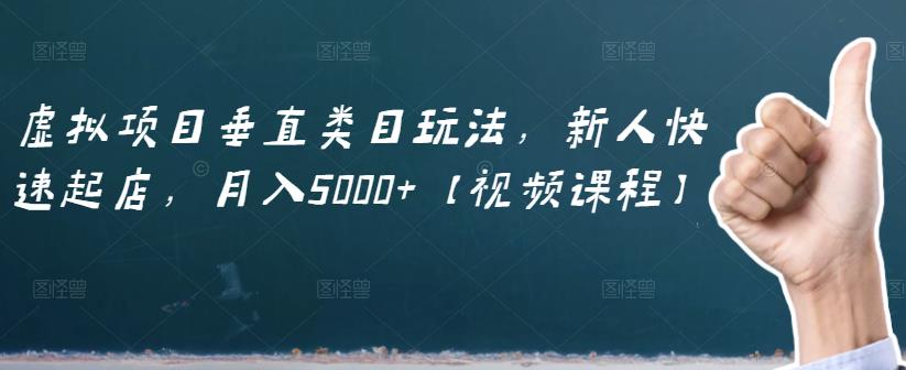 虚拟项目垂直类目玩法，新人快速起店，月入5000+【视频课程】-爱省资源网