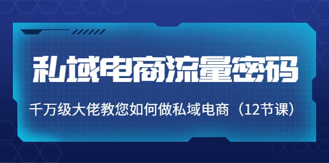 私域电商流量密码：千万级大佬教您如何做私域电商（12节课）-爱省资源网