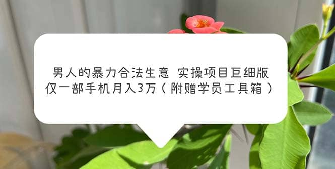 男人的暴力合法生意实操项目巨细版：仅一部手机月入3w（附赠学员工具箱）-爱省资源网