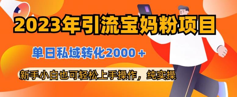 2023年引流宝妈粉项目，单日私域转化2000＋，新手小白也可轻松上手操作，纯实操-爱省资源网