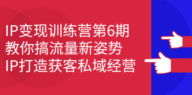 IP变现训练营第6期：教你搞流量新姿势，IP打造获客私域经营-爱省资源网