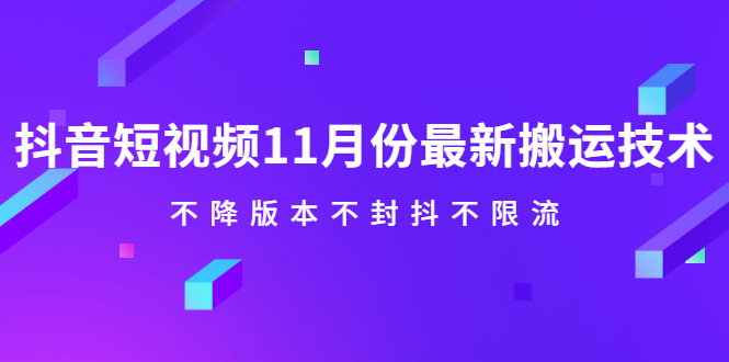 抖音短视频11月份最新搬运技术，不降版本不封抖不限流！【视频课程】-爱省资源网