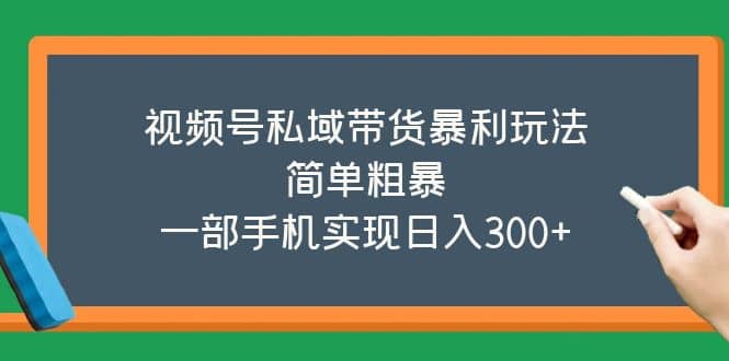 视频号私域带货暴利玩法，简单粗暴-爱省资源网